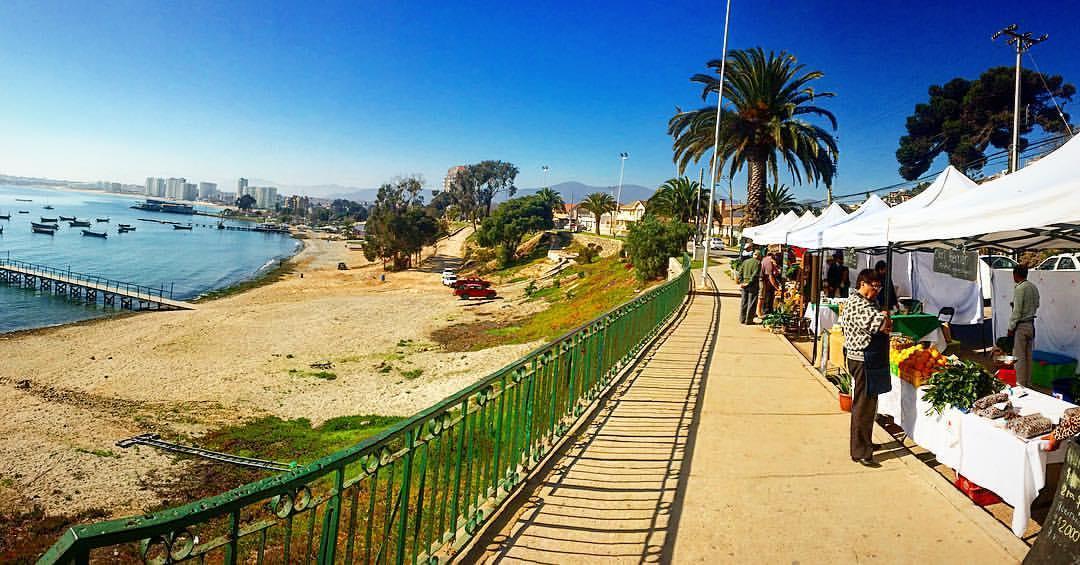 Don Felix Lejlighedshotel Coquimbo Eksteriør billede